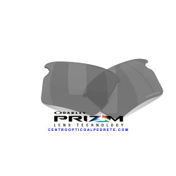 Lentes Prizm Black 06 Oakley Flak 2.0 XXL (OO9488-06)